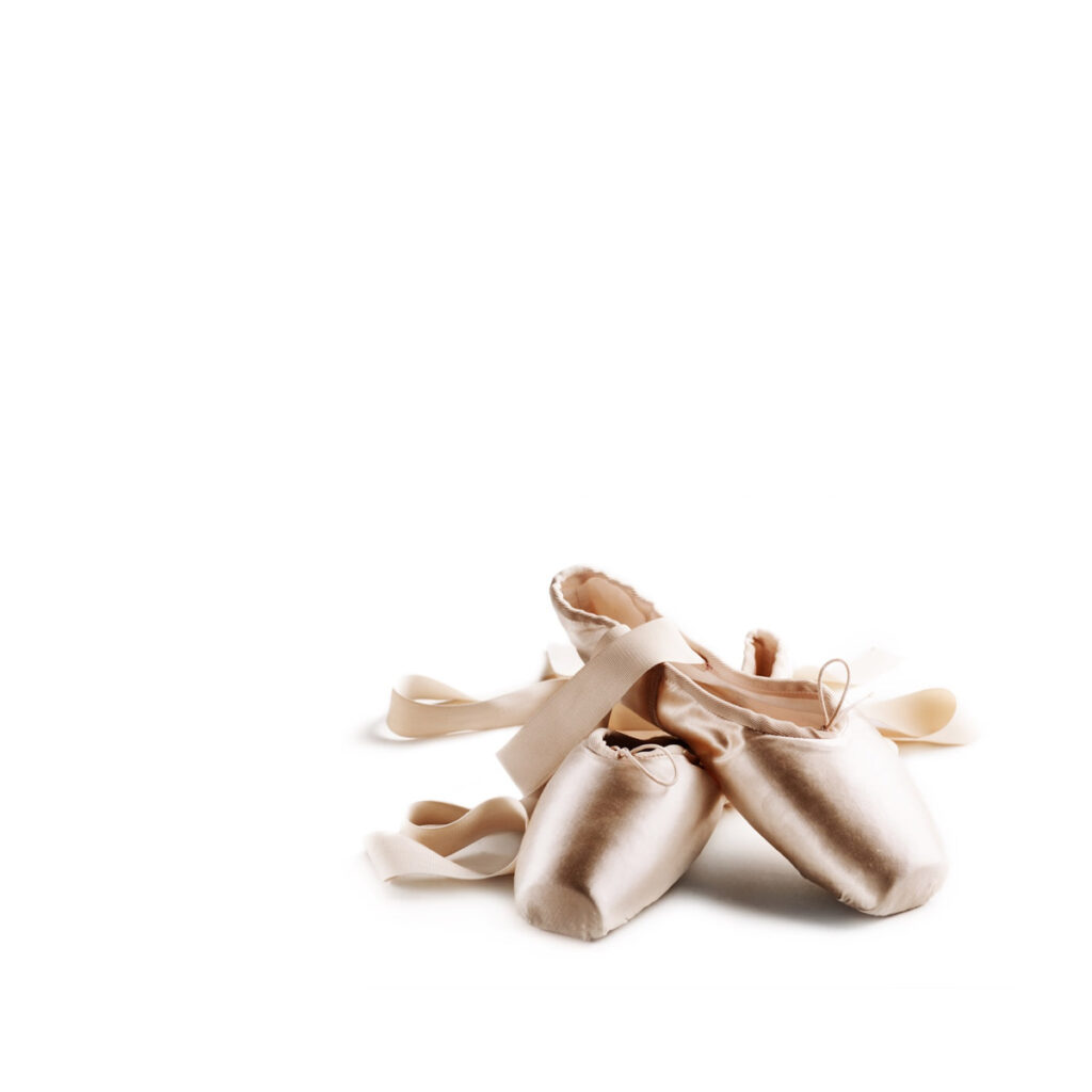 nimble_asset_pointe